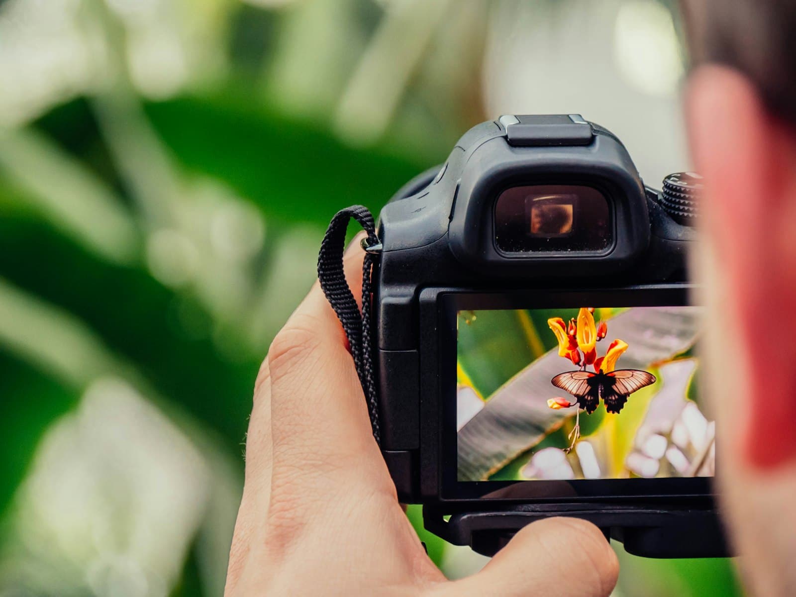 How I built gphoto2proton to migrate 354GB of Google Photos to Proton